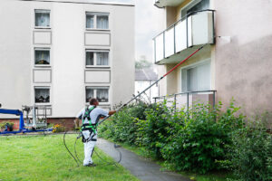 Fassadenreinigung in Rheinland Pfalz – Erfahrungen aus über 300 Reinigungen im Jahr 2025