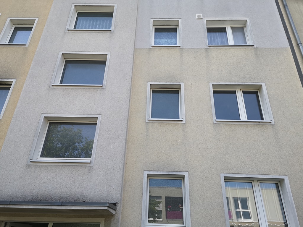 Fassadenreinigung vorher