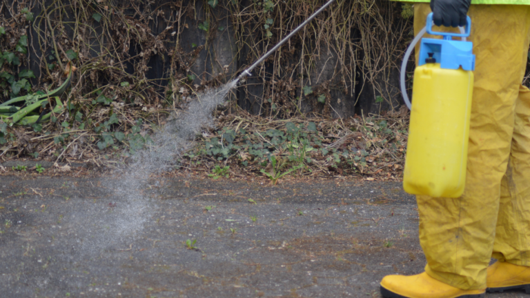 Flächenreinigung Phase 1 einsprühen